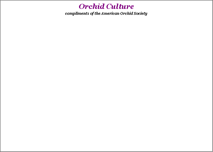 Text Box: Orchid Culture 
compliments of the American Orchid Society