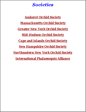 Text Box: Societies
Amherst Orchid Society
Massachusetts Orchid Society
Greater New York Orchid Society
Mid-Hudson Orchid Society
Cape and Islands Orchid Society
New Hampshire Orchid Society
Northeastern New York Orchid Society
International Phalaenopsis Alliance