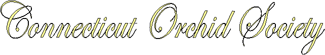 Connecticut Orchid Society
